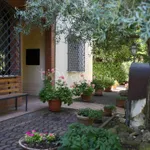 Rent 3 bedroom apartment of 50 m² in Cesena