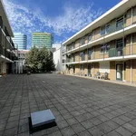 Rent 2 bedroom apartment of 54 m² in Arnhem