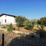 Rent 3 bedroom house of 120 m² in Amendolara