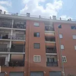 Rent 3 bedroom apartment of 80 m² in Rome