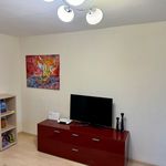 Rent 2 bedroom apartment of 70 m² in Karlsruhe