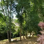 Rent 2 bedroom apartment of 60 m² in Clamecy