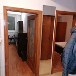 Rent 2 bedroom apartment of 50 m² in Timisoara