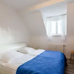 Rent 1 bedroom apartment of 55 m² in Cologne