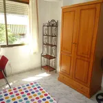 Rent a room in cordoba