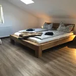 Rent 1 bedroom apartment of 70 m² in Dresden