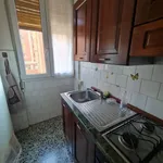 Rent 2 bedroom apartment of 70 m² in bologna