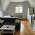 Rent 1 bedroom apartment of 46 m² in sumperk