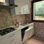 Rent 3 bedroom apartment of 90 m² in Padua