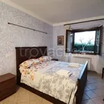 Rent 3 bedroom apartment of 60 m² in Campagnatico