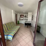 Appartamento arredato con terrazzo Centro