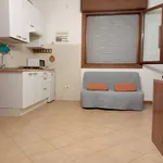 Rent 1 bedroom apartment of 45 m² in Bologna