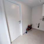 Rent 3 bedroom house of 506 m² in Lievegem