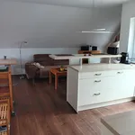 Rent 2 bedroom apartment of 32 m² in Frankfurt