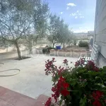 Rent 4 bedroom apartment of 130 m² in Matera