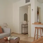 Rent 1 bedroom apartment in madrid