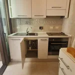 Rent 3 bedroom apartment of 150 m² in Rome