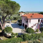 Rent 2 bedroom house of 65 m² in Capalbio