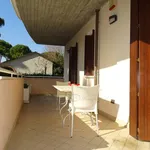 Rent 3 bedroom apartment of 80 m² in Cervia