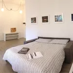 Rent 1 bedroom apartment in Turin