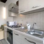 Rent 1 bedroom apartment of 45 m² in milan