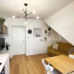 Rent 2 bedroom apartment of 45 m² in Milano