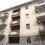 Rent 1 bedroom apartment of 18 m² in Messina