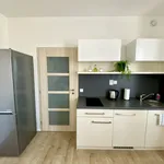 Studio of 26 m² in Prague