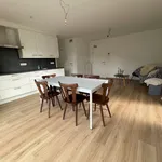  appartement avec 1 chambre(s) en location à HOOGSTRATEN