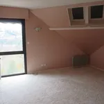 Maison de 179 m² avec 1 chambre(s) en location à Rodez