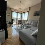 Rent 3 bedroom apartment of 75 m² in Torino