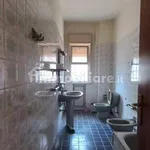 Rent 3 bedroom apartment of 100 m² in Catania