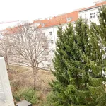 Rent 2 bedroom apartment of 59 m² in Vienna