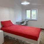 Rent 3 bedroom apartment in Lisbon