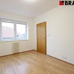 Rent 2 bedroom apartment of 39 m² in Brno