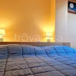 Rent 2 bedroom apartment of 50 m² in Padova