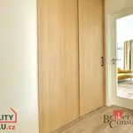 Rent 2 bedroom apartment in Praha 10