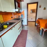 Rent 4 bedroom apartment of 130 m² in Rende