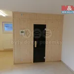 Rent 1 bedroom house of 412 m² in Prague