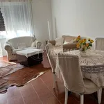 Rent 4 bedroom apartment of 75 m² in Viareggio