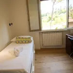 Rent 2 bedroom apartment in Florence