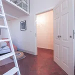 Rent 1 bedroom apartment of 20 m² in Florence