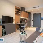 Rent 1 bedroom apartment of 28 m² in Milan