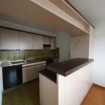 4.0 room apartment to let in sandbühlstrasse 11a 8620 wetzikon zh