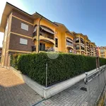 Rent 1 bedroom apartment of 42 m² in Leini