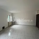 3-room flat good condition, ground floor, San Maurizio al Lambro, Cologno Monzese