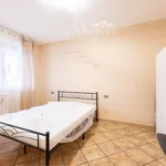 Rent 1 bedroom apartment of 24 m² in Rome