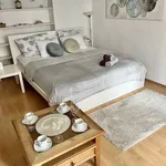 Studio o rozloze 38 m² v Prague