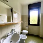 Rent 3 bedroom apartment of 100 m² in San Zeno Naviglio