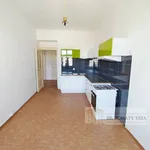 Rent 4 bedroom apartment of 110 m² in Prague